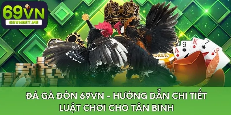 da-ga-don-69vn-huong-dan-chi-tiet-luat-choi-cho-tan-binh