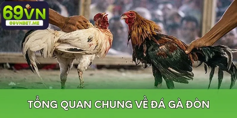 Tổng quan về đá gà đòn